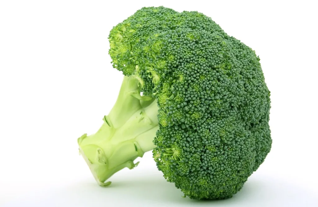 appetite, broccoli, brocoli broccolli-1238251.jpg